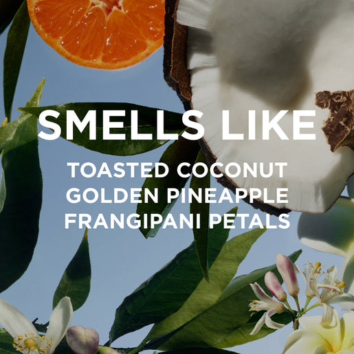 MISSY Everyday Body Oil with coconut